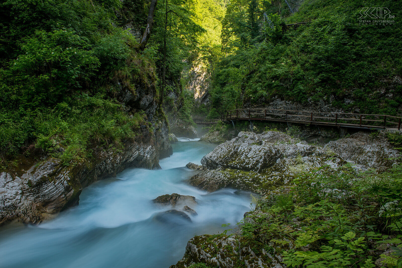Bled - Vintgar gorge The Vintgar gorge is a beautiful gorge near Bled with a lot of waterfalls and a great walking path with wooden bridges. Stefan Cruysberghs